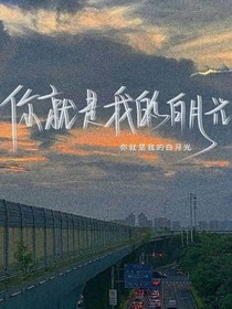 夕照乔木