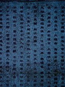 陈情令之落尘