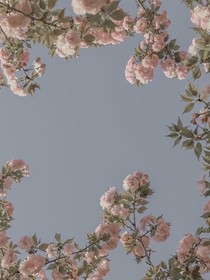 重新认识一下