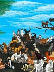 猫武士（初入森林）