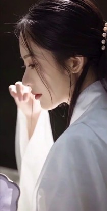 紅梅傲雪