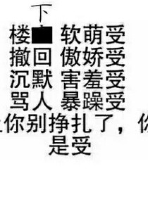 穿越！凹凸世界（安月）