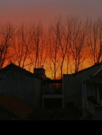 念念晚晚