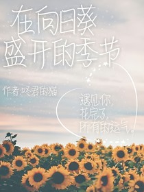 在向日葵盛開的季節(jié)