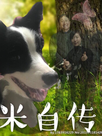 黑米自传