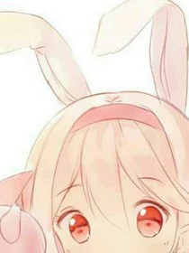 冰夢緣通告