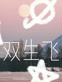 双生飞——d334