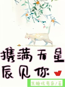 携满天星辰见你