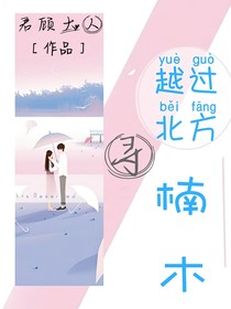 越过北方寻楠木
