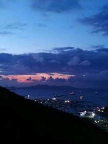 在迷途中前行