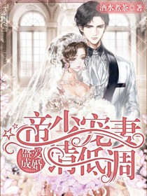 盛爱成婚：帝少宠妻请低调
