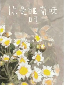 你是雛菊味的