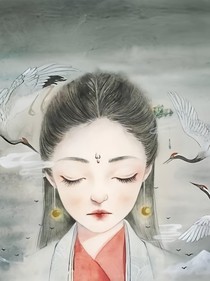 天女散花1
