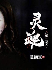 灵魂第二季