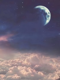 涩涩西柚