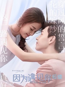 因為遇見你后續(xù)