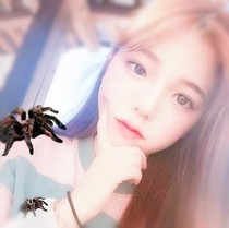 蜘蛛妹妹
