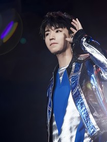 王总，夫人又逃了