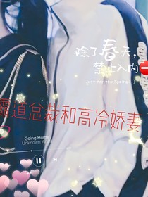 霸道总裁和高冷娇妻