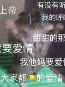 走过最长的路是学弟的套路