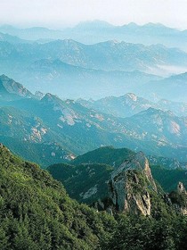 昆仑山森林：魔化