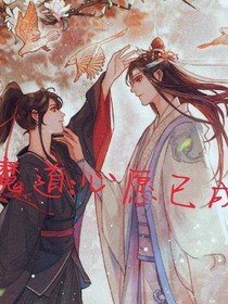 魔道：心愿已成