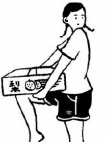 Z君和Y君