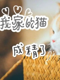 我养的猫成精了！