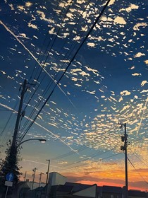 穿越凹凸之孤岛求生