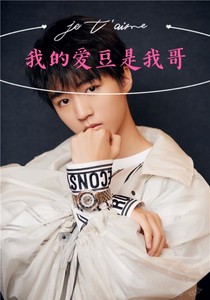 我的爱豆是我哥