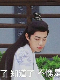 陈情令之：蓝忘机妹妹和魏无羡哥哥的日常秀恩爱