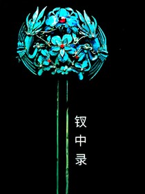 钗中录