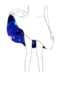 穹顶之