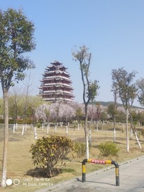你好，闺蜜项韵如