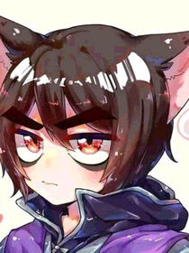 沙雕的作者