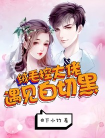 绒毛控大佬遇见白切黑
