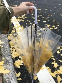 人海孤鴻，你是晨暮……