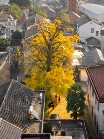 古銀里
