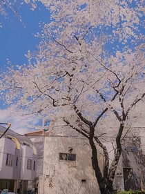 你是我眼里的璀璨星辰