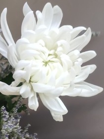 我是你的鬼室友——d039