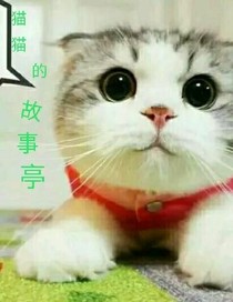 猫猫的故事亭