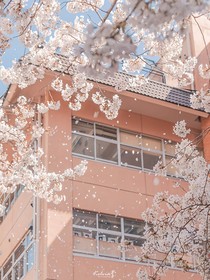 戀愛物語(yǔ)：戀愛筆記