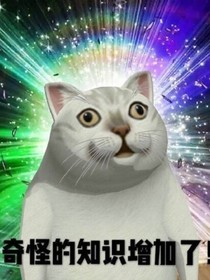 灰姑娘？