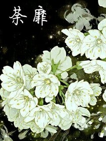 庆2之荼靡