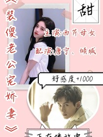 装傻老公宠娇妻