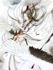紫陌花开