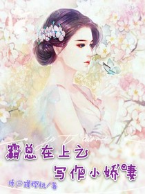 霸总在上之写作小娇妻