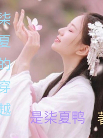 柒夏的穿越
