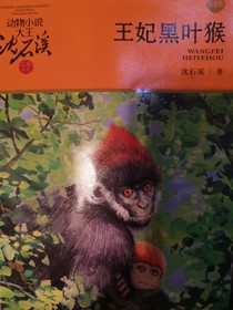 王妃黑叶猴……沈石溪著