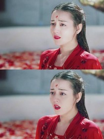 陈情令之凤凰圣女